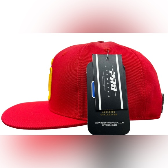 NEW San Diego Padres PRO STANDARD Red Mexico Side Patch Flat Brim Cap Gray UV - Picture 3 of 10